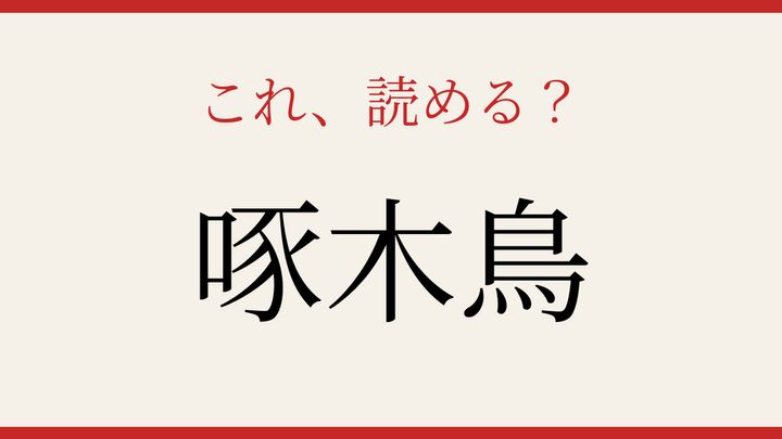 【難読漢字】つい読み間違える！木をつつく野鳥の問題画像