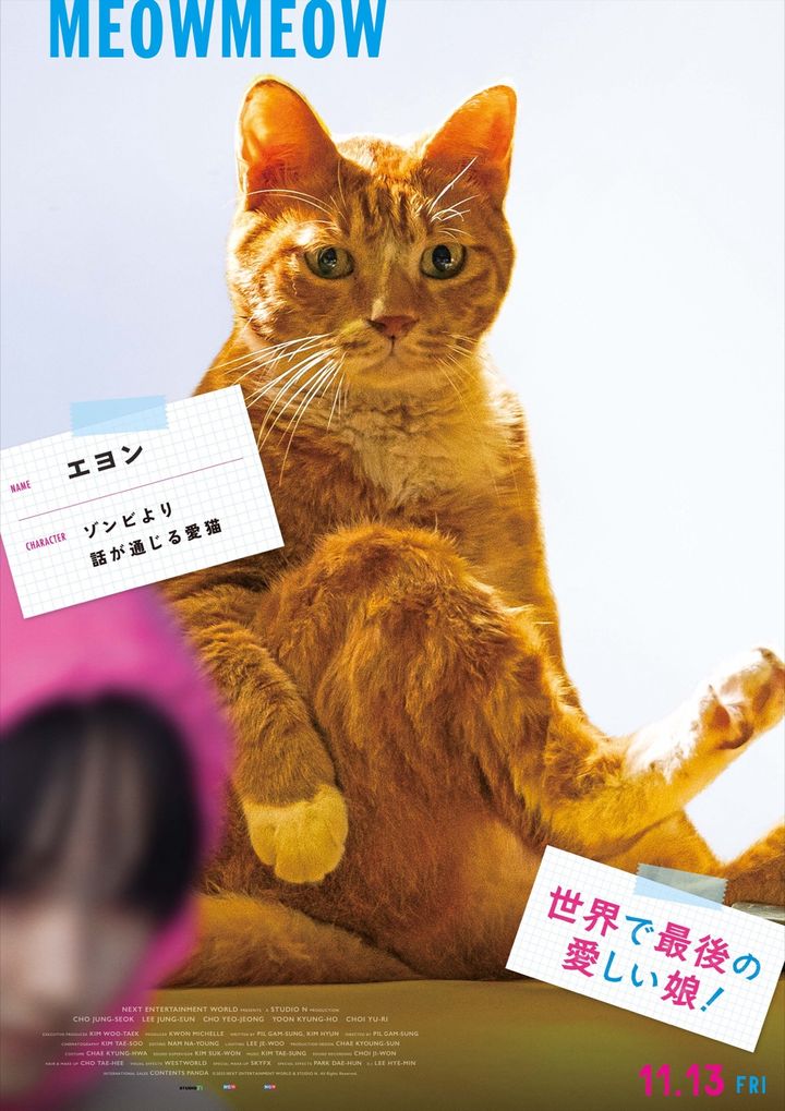 愛猫エヨンのキャラクターポスター