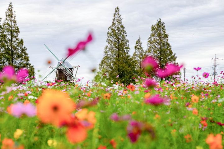 あけぼの山農業公園（千葉県）