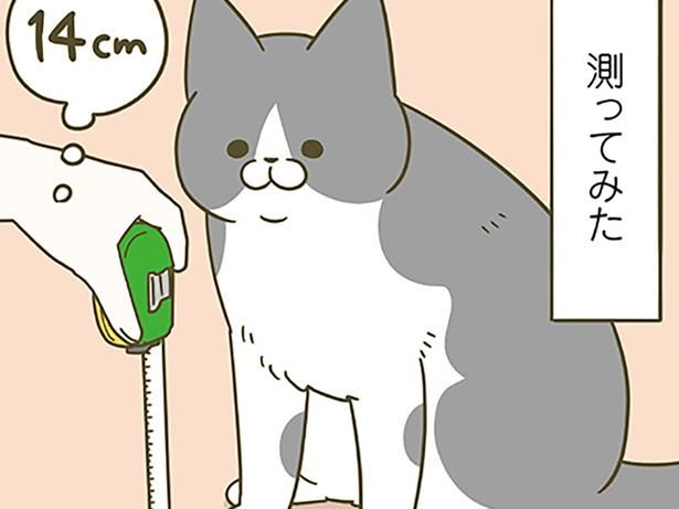 測ってみるも （C）卵山玉子／KADOKAWA