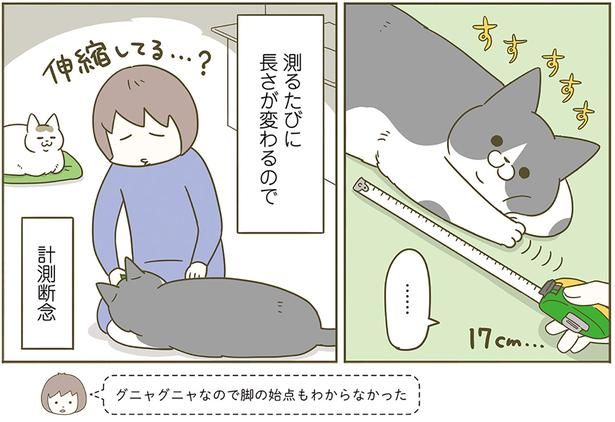 測るたびに （C）卵山玉子／KADOKAWA