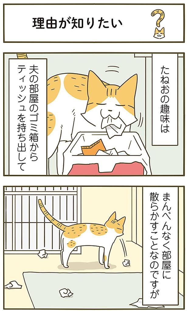 理由が知りたい （C）卵山玉子／KADOKAWA