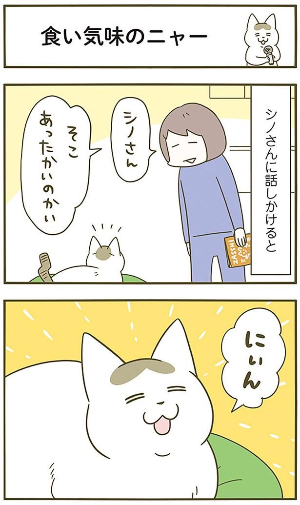 食い気味のニャー （C）卵山玉子／KADOKAWA