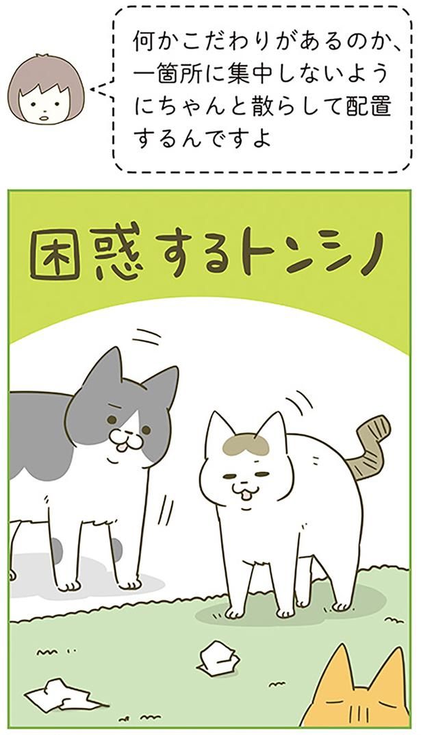 ちゃんと散らして配置 （C）卵山玉子／KADOKAWA