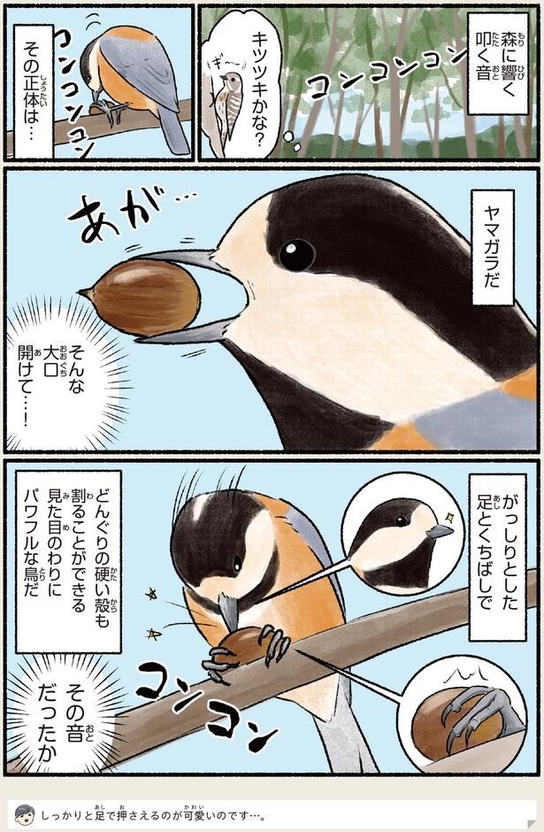そんな大口開けて…！ （C）piro piro piccolo／KADOKAWA