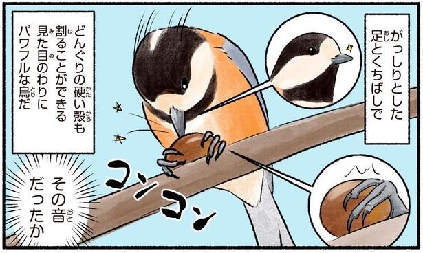 見た目のわりにパワフルな鳥 （C）piro piro piccolo／KADOKAWA