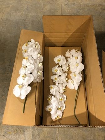 廃棄される胡蝶蘭をお香やルームフレグランスに変えて企業に還元するプログラム開始！