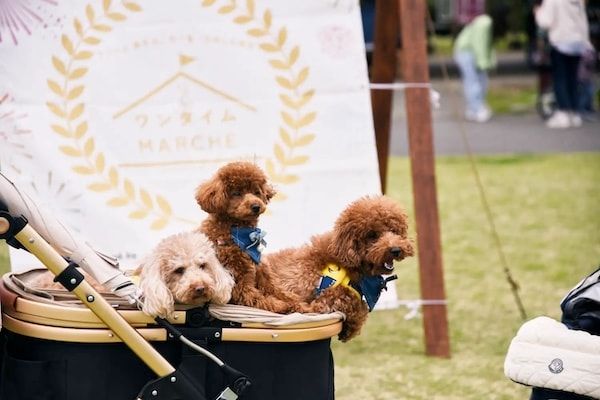 愛犬と楽しむドッグイベント「ワンタイムマルシェ」、2026年秋冬4か月に全12回開催！会場は埼玉・大阪・静岡