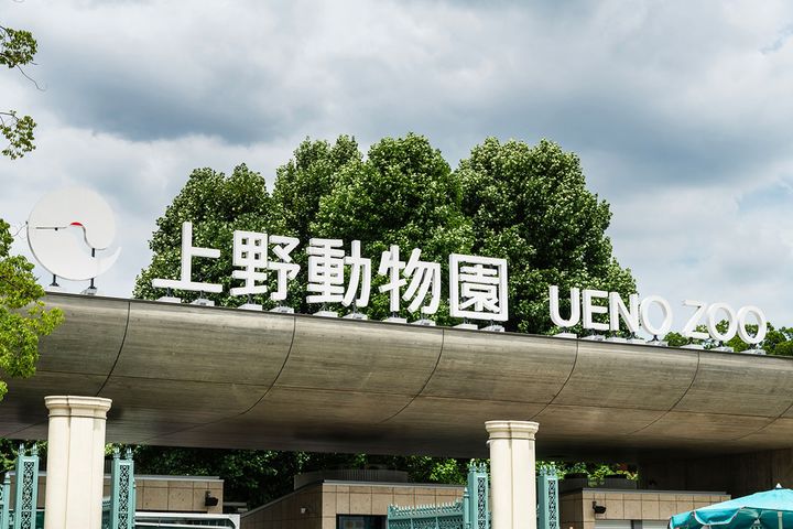 上野動物園