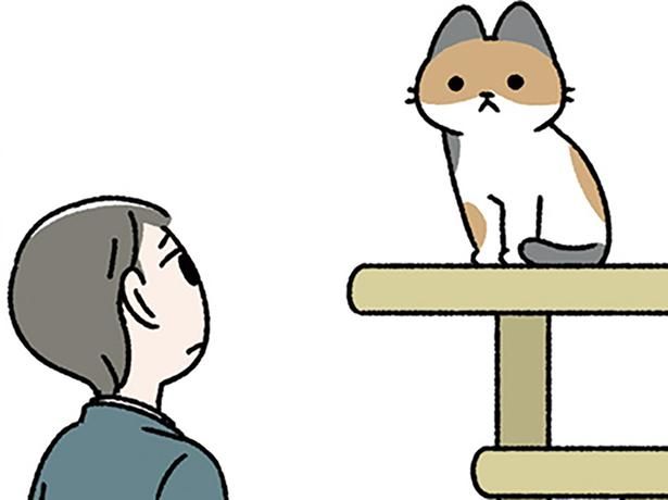 数日家を空けたら… （C）ぱんだにあ／KADOKAWA