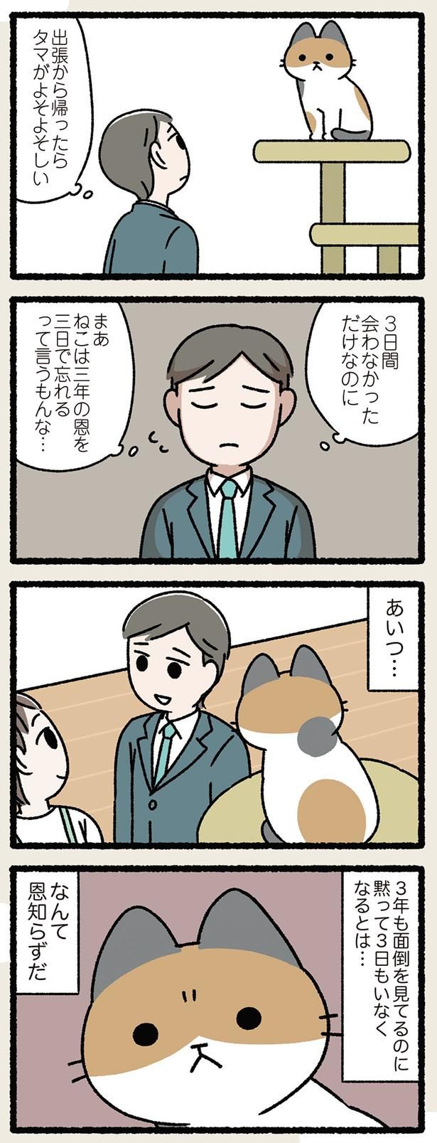 ねこは三年の恩を三日で忘れる （C）ぱんだにあ／KADOKAWA