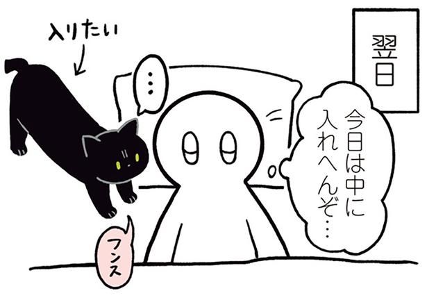 入りたいろん （C）AKR／KADOKAWA