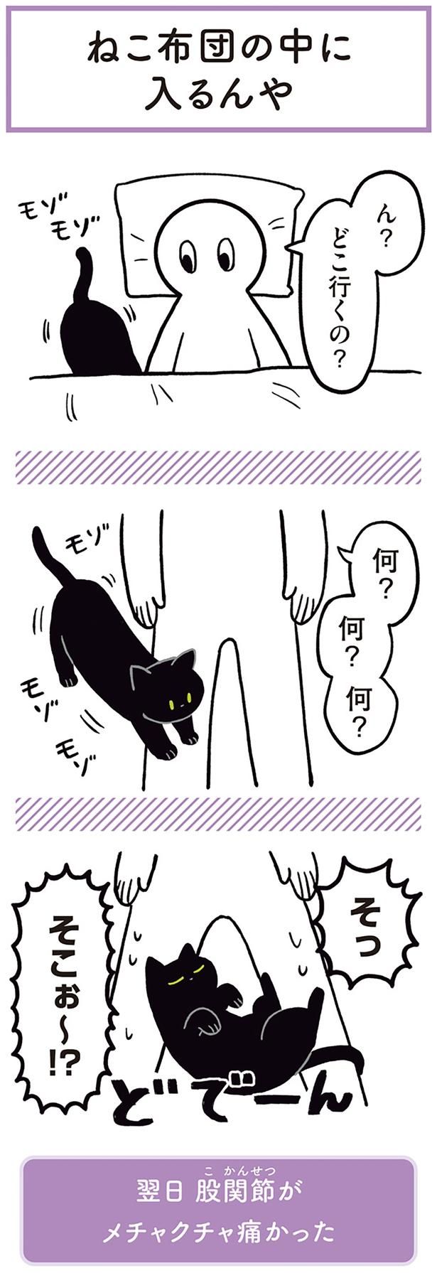 ん？どこ行くの？ （C）AKR／KADOKAWA