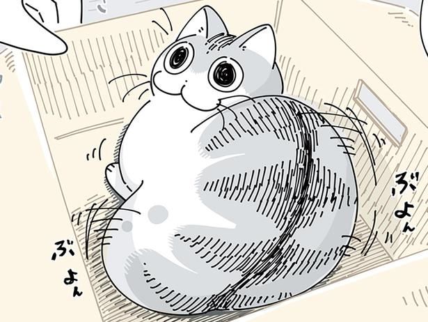 かまってほしいのかと思ったら無反応 （C）キュルZ／KADOKAWA
