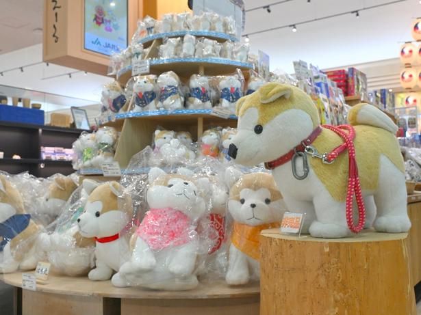 秋田空港のターミナル内には「秋田犬」のグッズやオブジェなどが多く見られる