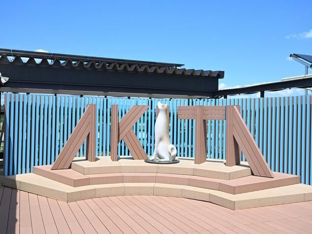 展望デッキにある「AKITA」と秋田犬のフォトスポット