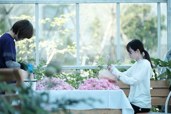 ぶどうの森からヴィンテージジン「薔薇詩」発売。手摘みのダマスクローズ20輪を凝縮