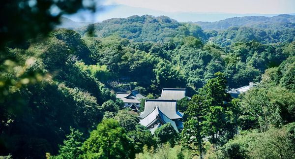 【神奈川県鎌倉市】2027年、養老孟司氏と巡る鎌倉虫散歩「ムシヨロズ展」開催！現在クラファン実施中