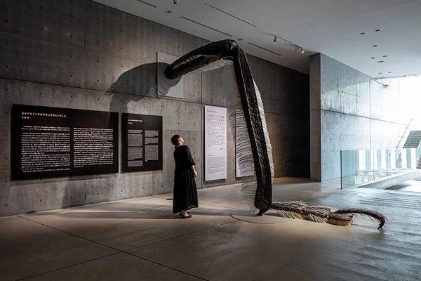 【神奈川県鎌倉市】2027年、養老孟司氏と巡る鎌倉虫散歩「ムシヨロズ展」開催！現在クラファン実施中