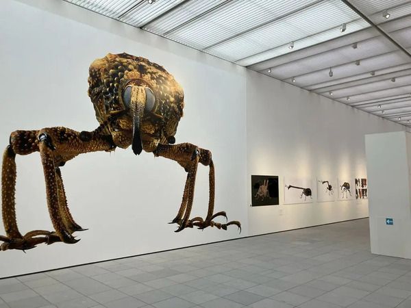 【神奈川県鎌倉市】2027年、養老孟司氏と巡る鎌倉虫散歩「ムシヨロズ展」開催！現在クラファン実施中