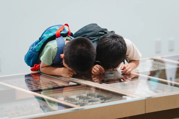 【神奈川県鎌倉市】2027年、養老孟司氏と巡る鎌倉虫散歩「ムシヨロズ展」開催！現在クラファン実施中