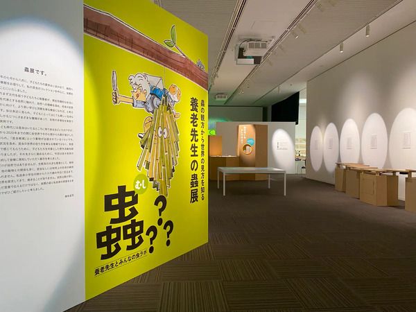 【神奈川県鎌倉市】2027年、養老孟司氏と巡る鎌倉虫散歩「ムシヨロズ展」開催！現在クラファン実施中