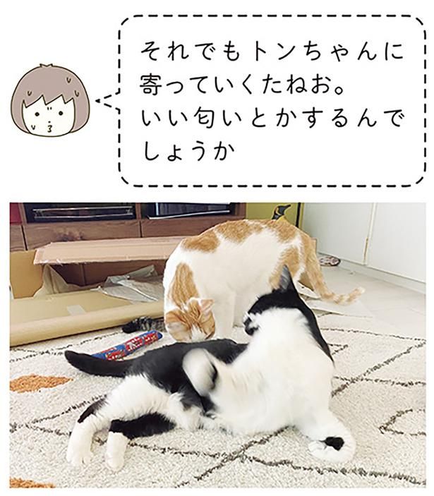 いい匂いとかするんでしょうか （C）卵山玉子／KADOKAWA