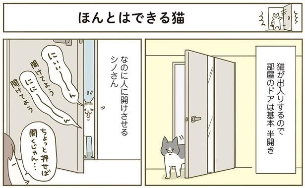 ほんとはできる猫 （C）卵山玉子／KADOKAWA