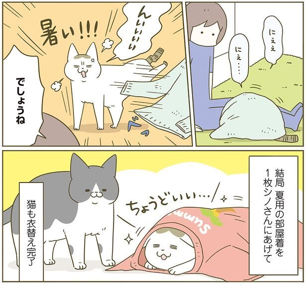猫も衣替え完了 （C）卵山玉子／KADOKAWA