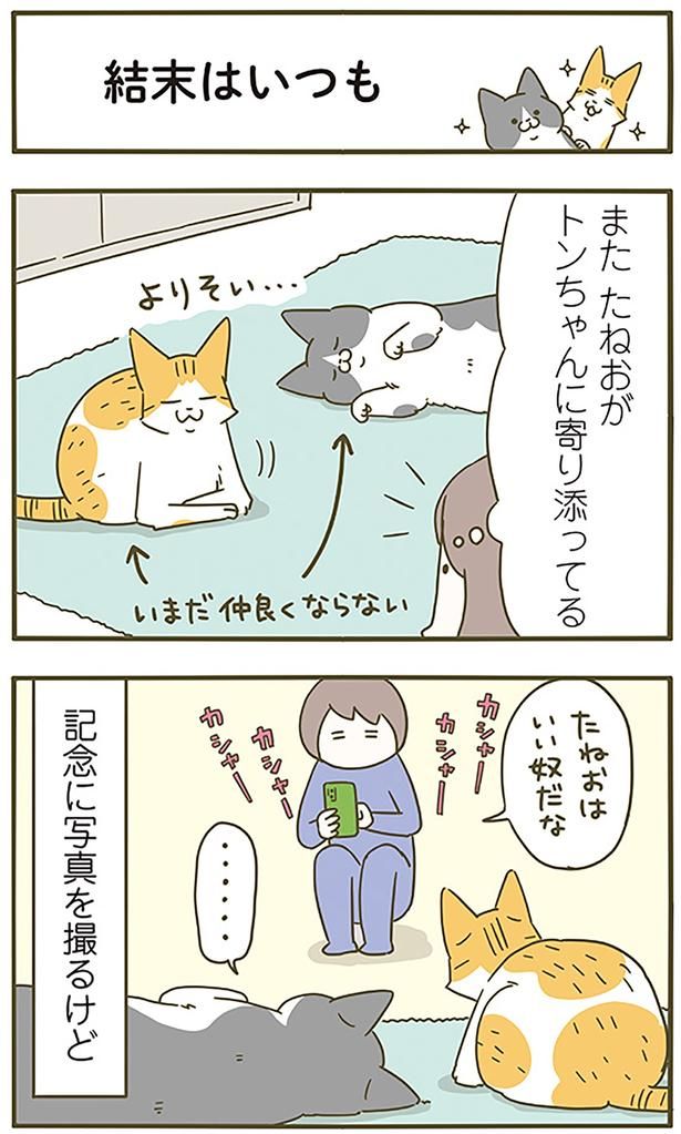 結末はいつも （C）卵山玉子／KADOKAWA