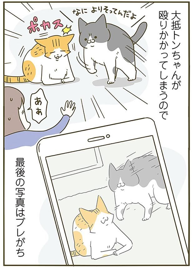 最後の写真はブレがち （C）卵山玉子／KADOKAWA