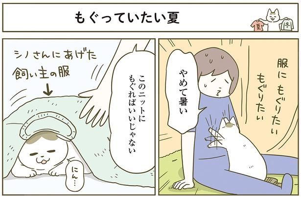 潜っていたい夏 （C）卵山玉子／KADOKAWA