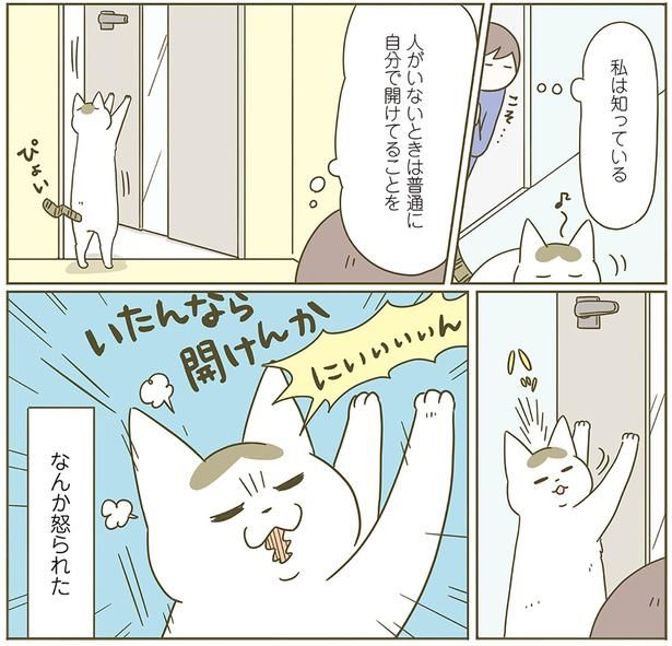 なんか怒られた （C）卵山玉子／KADOKAWA