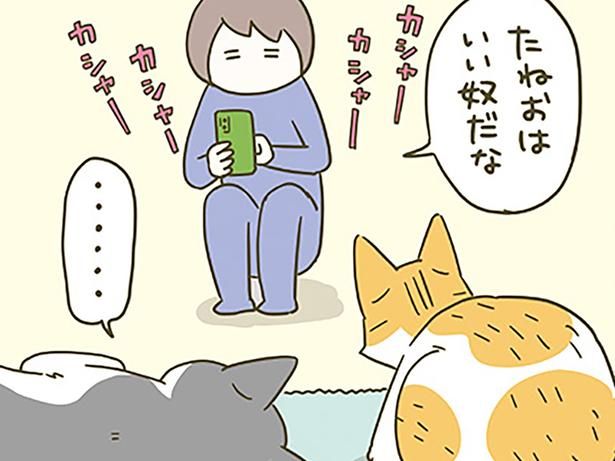 2匹を写真に収めたいけど… （C）卵山玉子／KADOKAWA