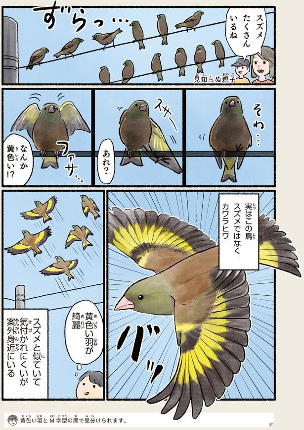 案外身近にいる （C）piro piro piccolo／KADOKAWA