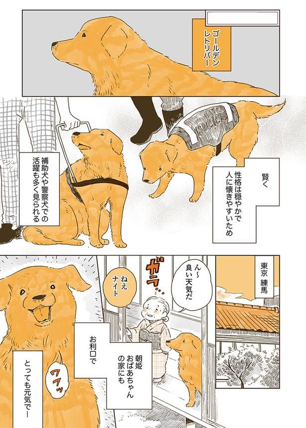 ん～ 良い天気だ ねえナイト （C）佐倉イサミ／KADOKAWA