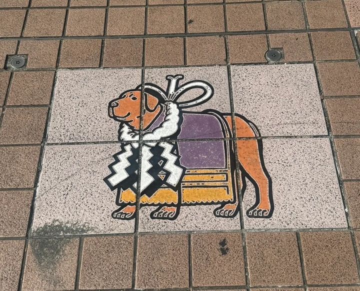 高知