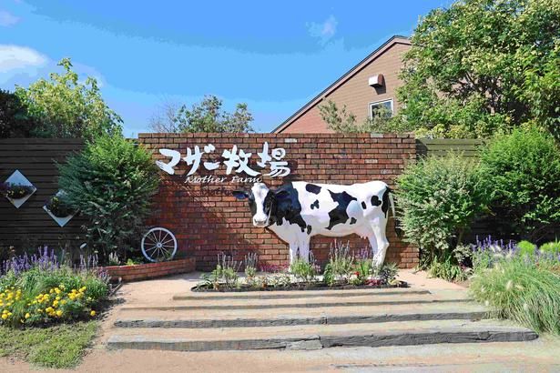 「マザー牧場」は都内からもアクセスしやすい