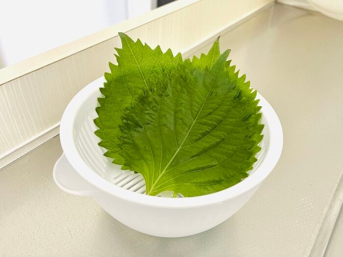  【セリア】小さいのに、ここまで使える！？洗う・混ぜる・水切りまでおまかせの万能キッチングッズ