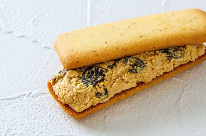 トロバタ レーズン味