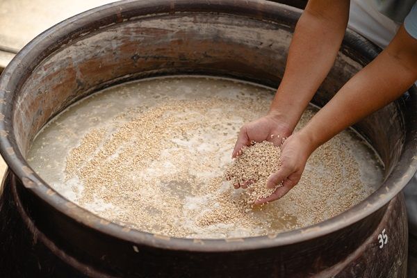 【福岡県大川市】老舗酢蔵・庄分酢が「九州観光まちづくりAWARD2026」金賞！「酢蔵ツーリズム」に注目