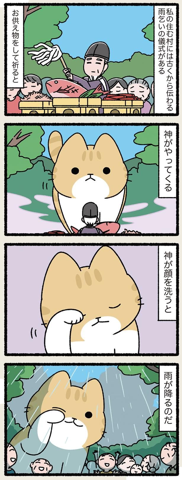 ねこが顔を洗うと雨が降る （C）ぱんだにあ／KADOKAWA
