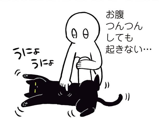 お腹つんつんしても起きない… （C）AKR／KADOKAWA
