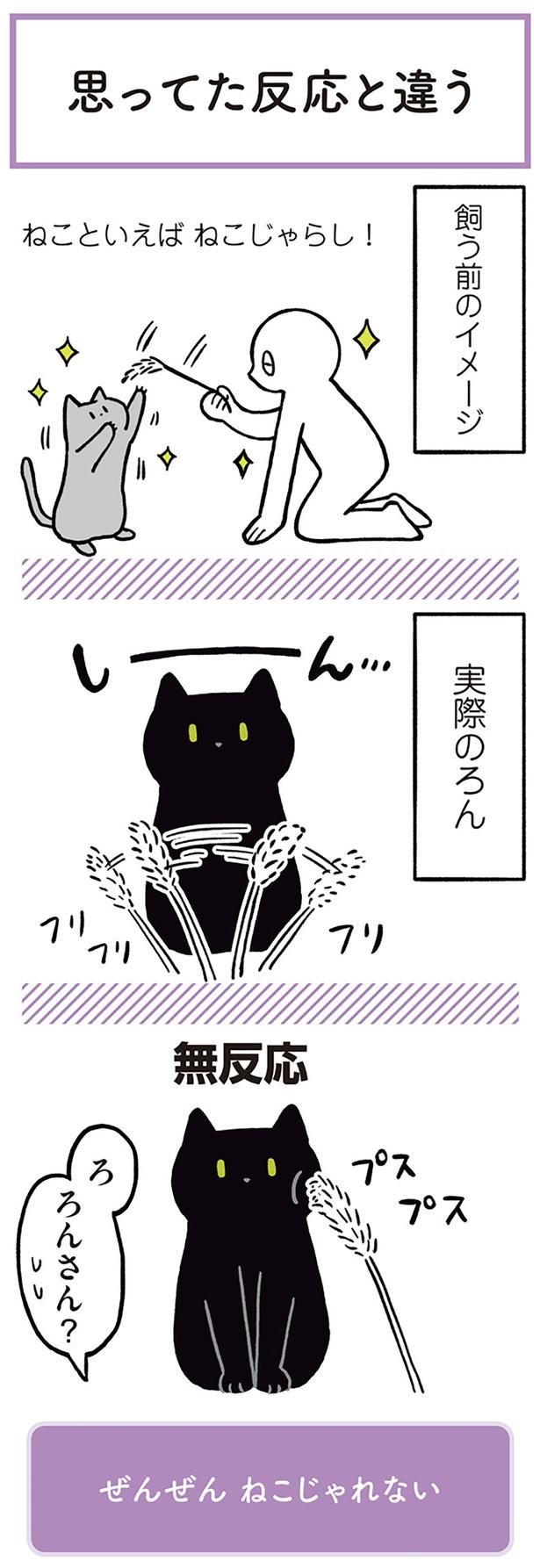 ねこといえばねこじゃらし！ （C）AKR／KADOKAWA