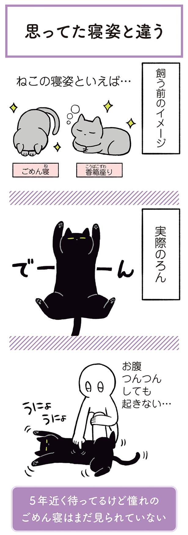ねこの寝姿といえば… （C）AKR／KADOKAWA