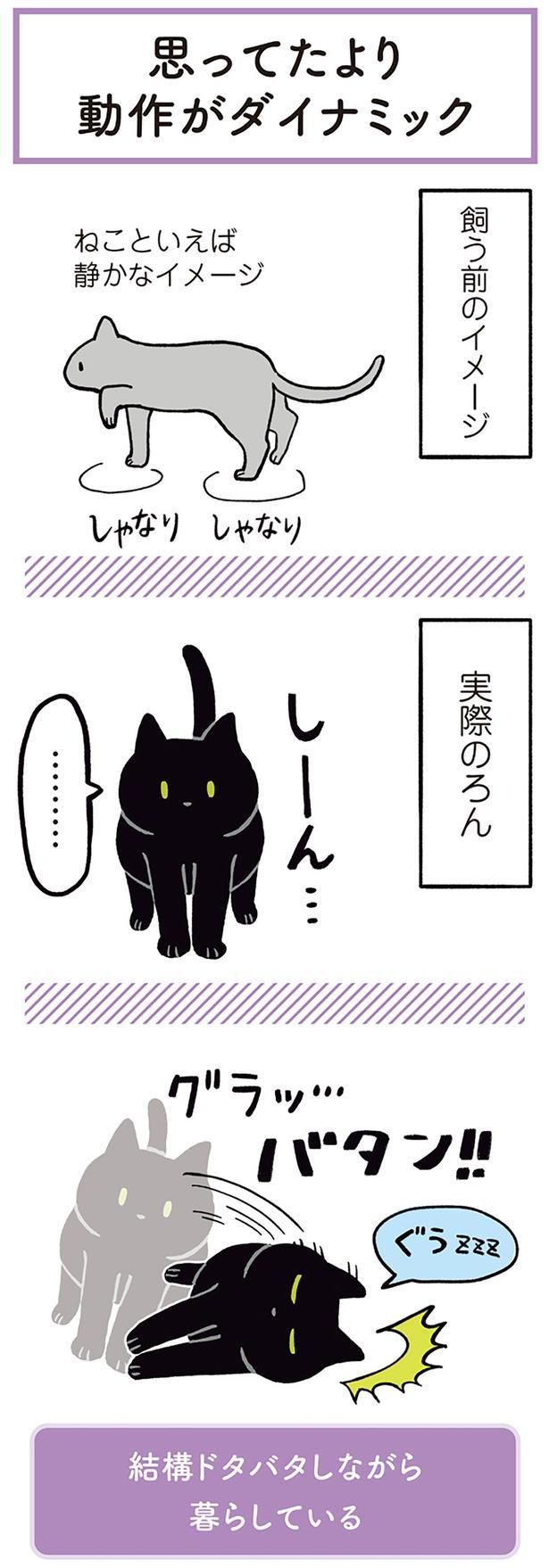ねこといえば静かなイメージ （C）AKR／KADOKAWA