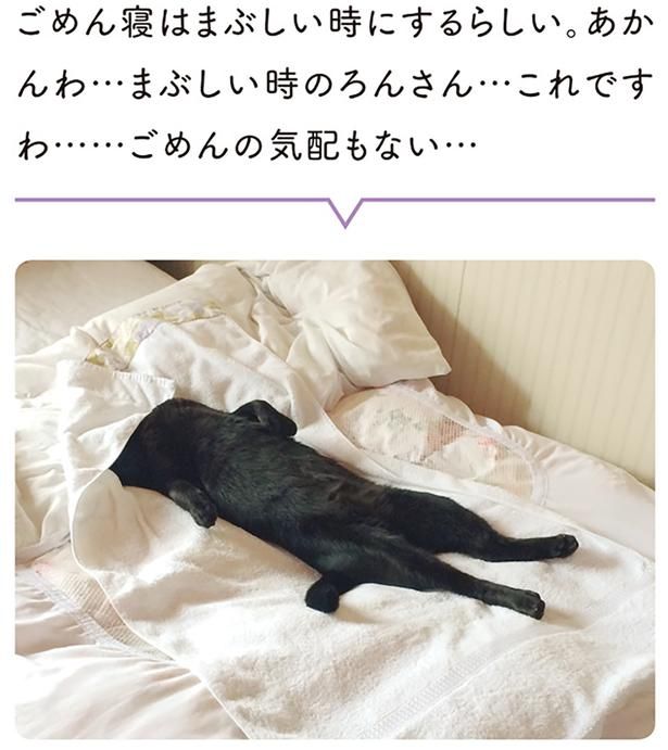 ごめんの気配もない… （C）AKR／KADOKAWA