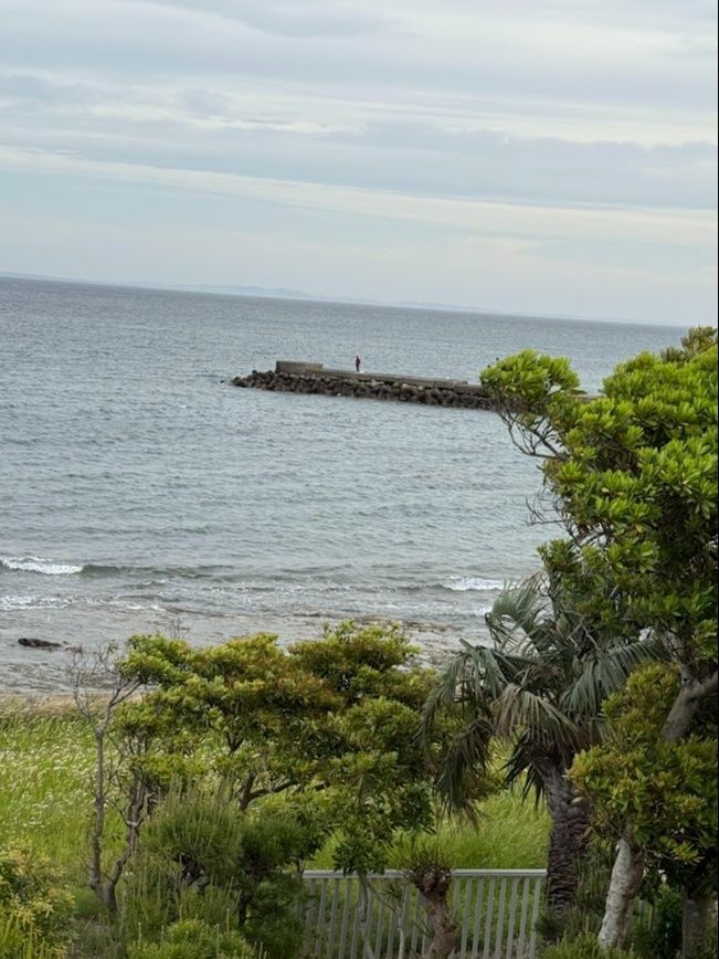 目の前に館山湾が広がるオーシャンビューの温泉旅館