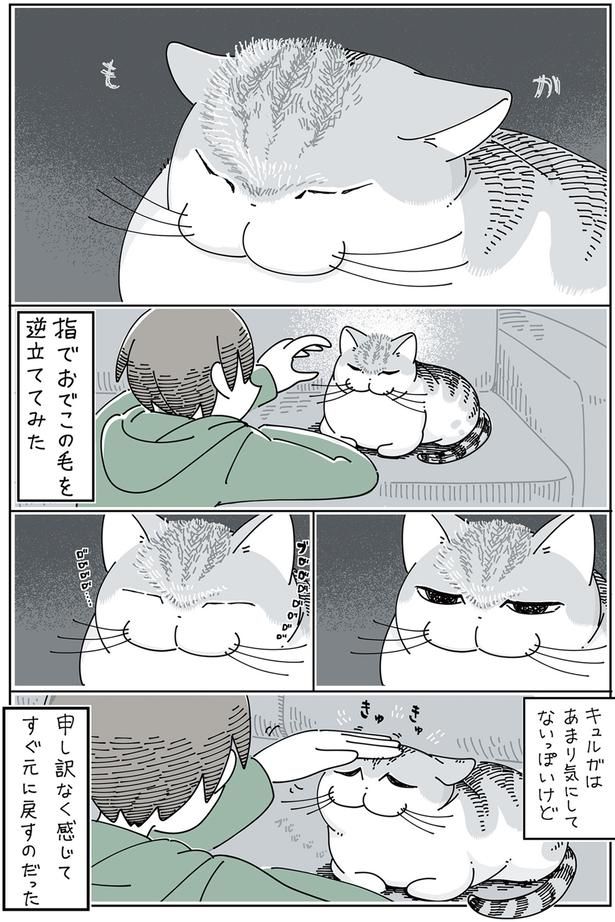 あまり気にしてないっぽいけど （C）キュルZ／KADOKAWA
