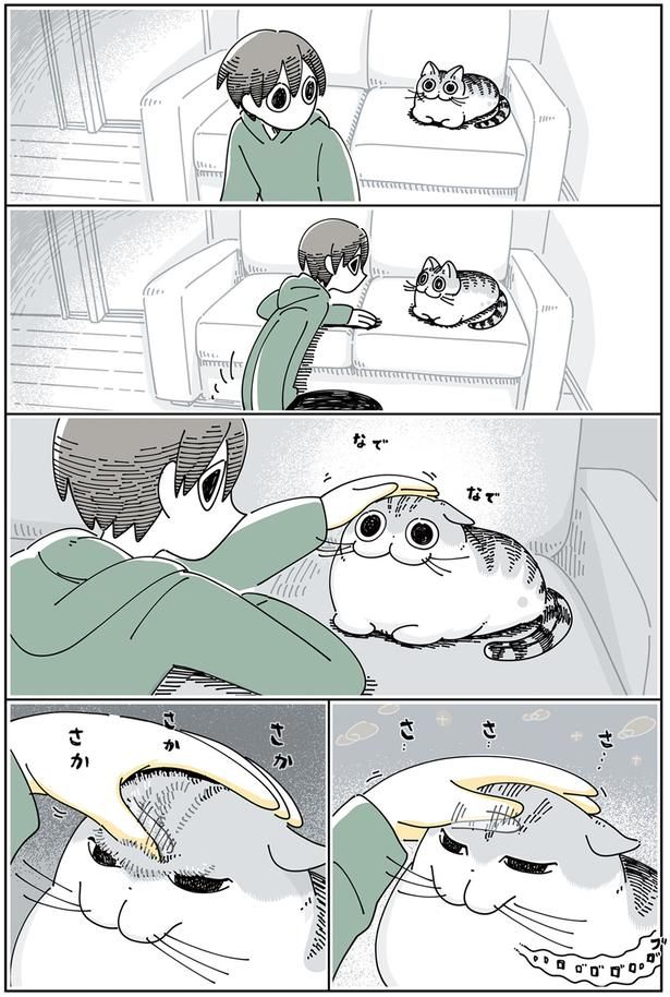 ネコのおでこの毛 （C）キュルZ／KADOKAWA
